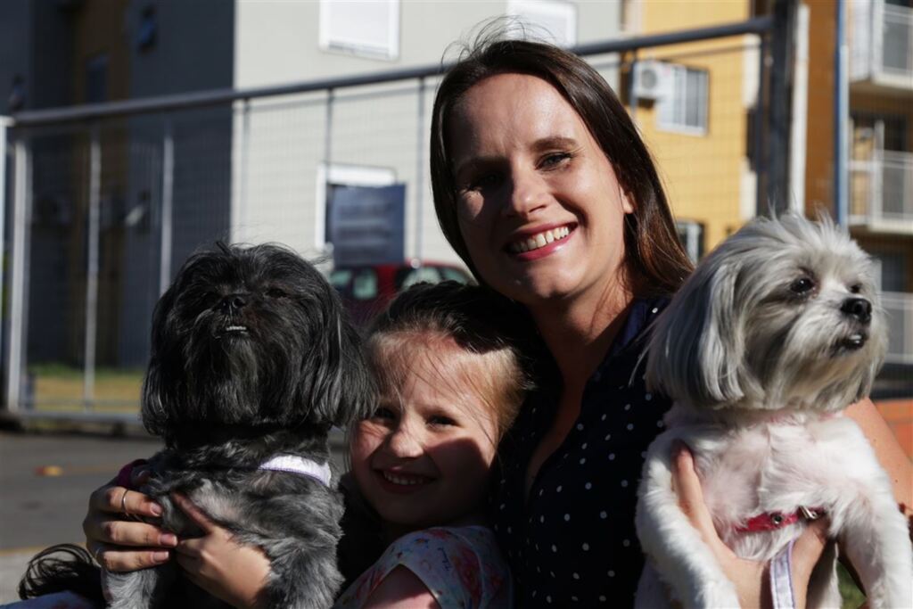 Especialistas dão dicas para proteger seu pet do barulho dos fogos de artifício