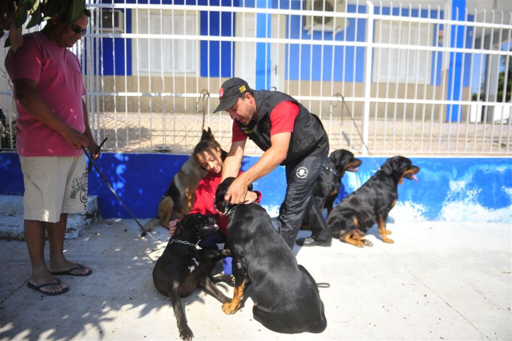 Adestrador de Santa Maria explica como separar uma briga de cães