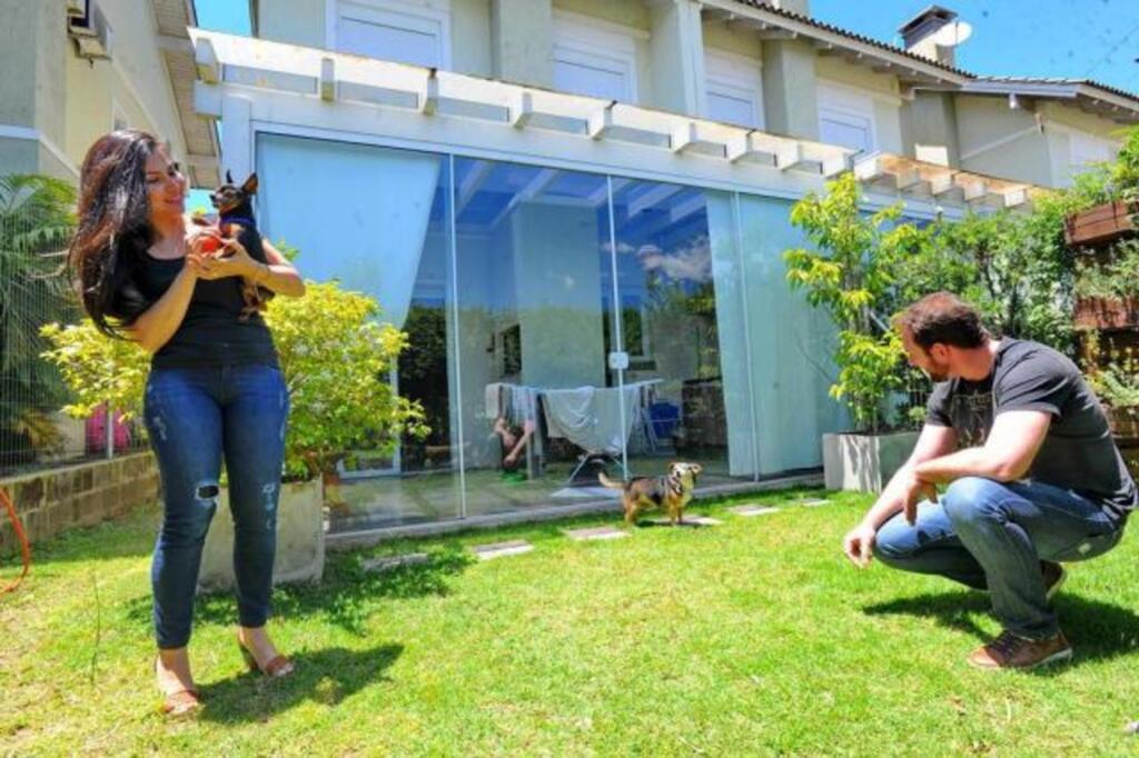 15 dicas para ensinar o pet a fazer xixi no lugar certo