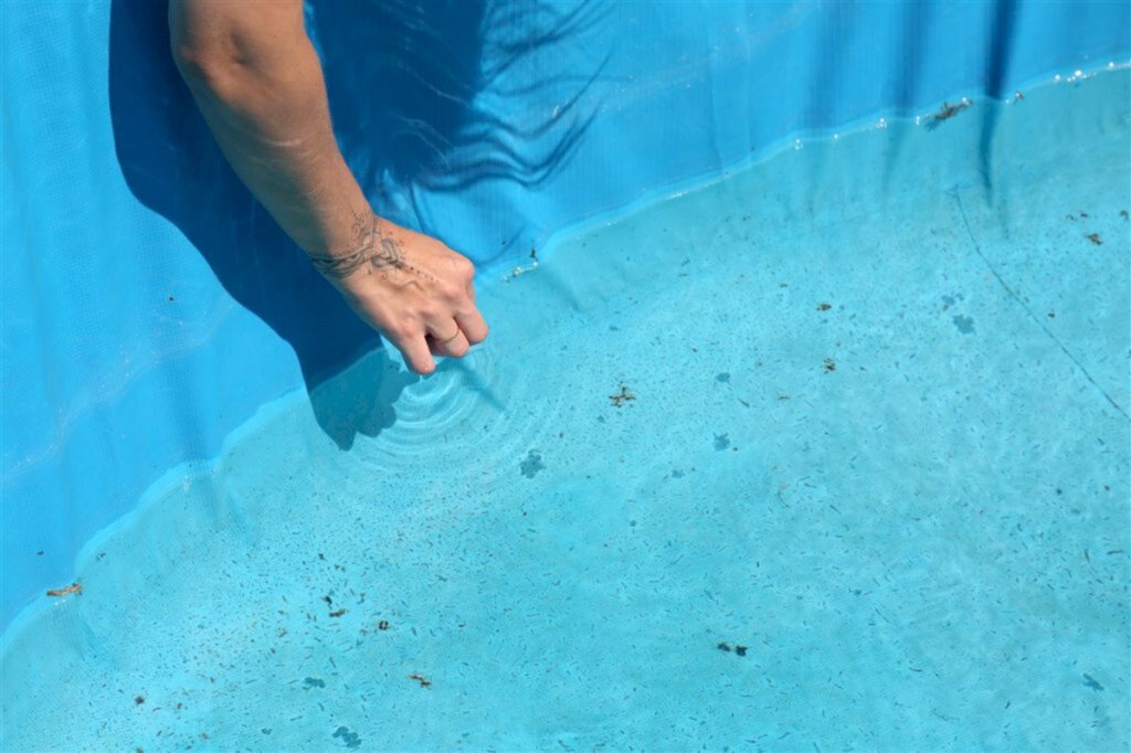 Santa Maria tem oito casos de dengue confirmados em 2022