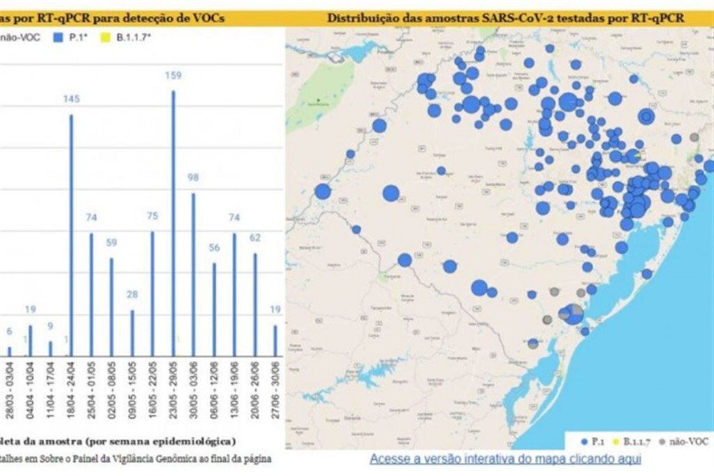 Mapa atualiza variações de coronavírus já identificados no Estado
