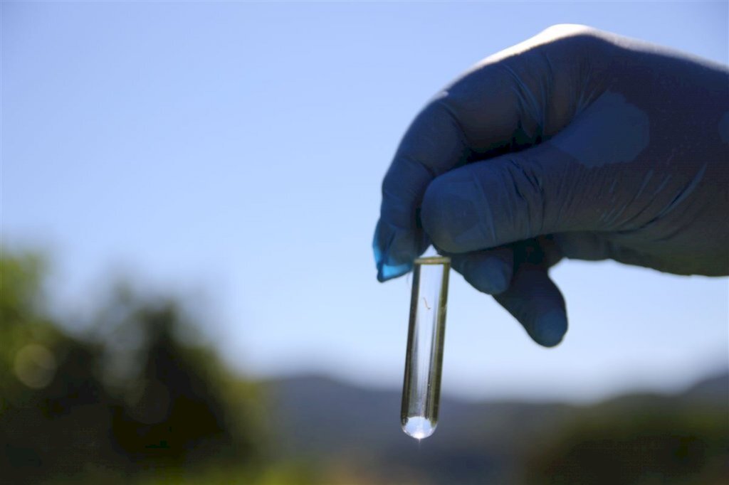 VÍDEO: números da dengue na região caem, mas mais municípios registram contaminação