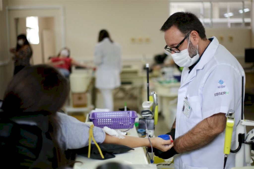 Campanha presenteia doadores de sangue com muda de árvores
