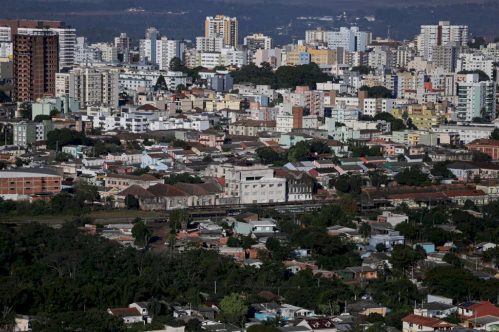 VÍDEO: pela primeira vez, Santa Maria registra casos e óbito de humanos com leishmaniose