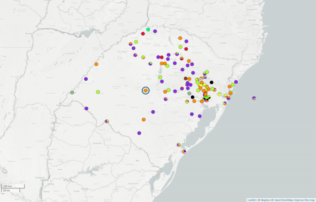 Santa Maria não tem 'variantes de preocupação', aponta boletim genômico