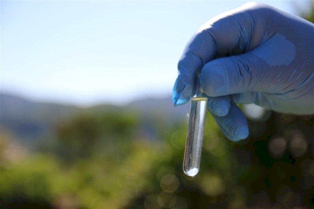 título imagem VÍDEO: em ano de surto, Santa Maria contabiliza mais de 230 casos de dengue