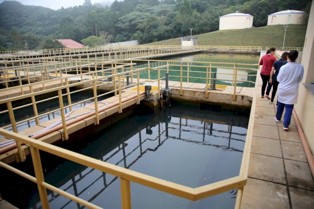 Protozoário que transmite toxoplasmose não foi encontrado em amostras de investigação