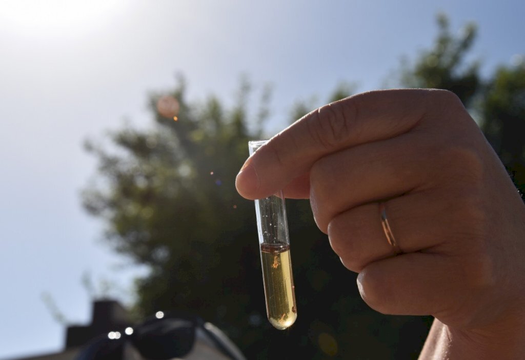 Primeiro caso de dengue é confirmado em Santa Maria