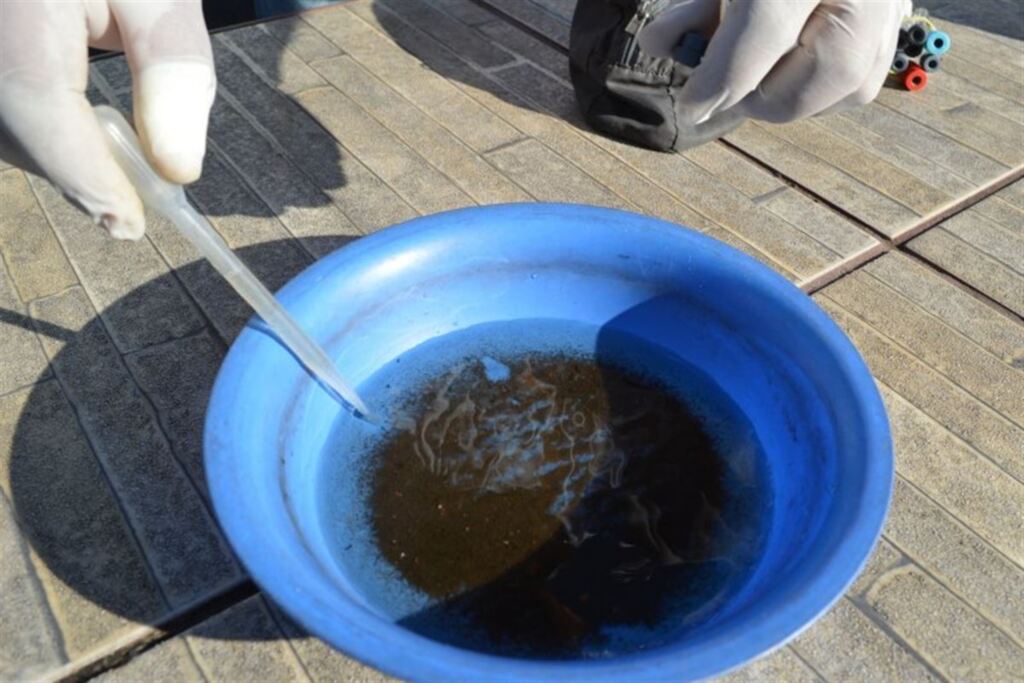 título imagem Confirmado 2º caso de dengue importada em Santa Maria