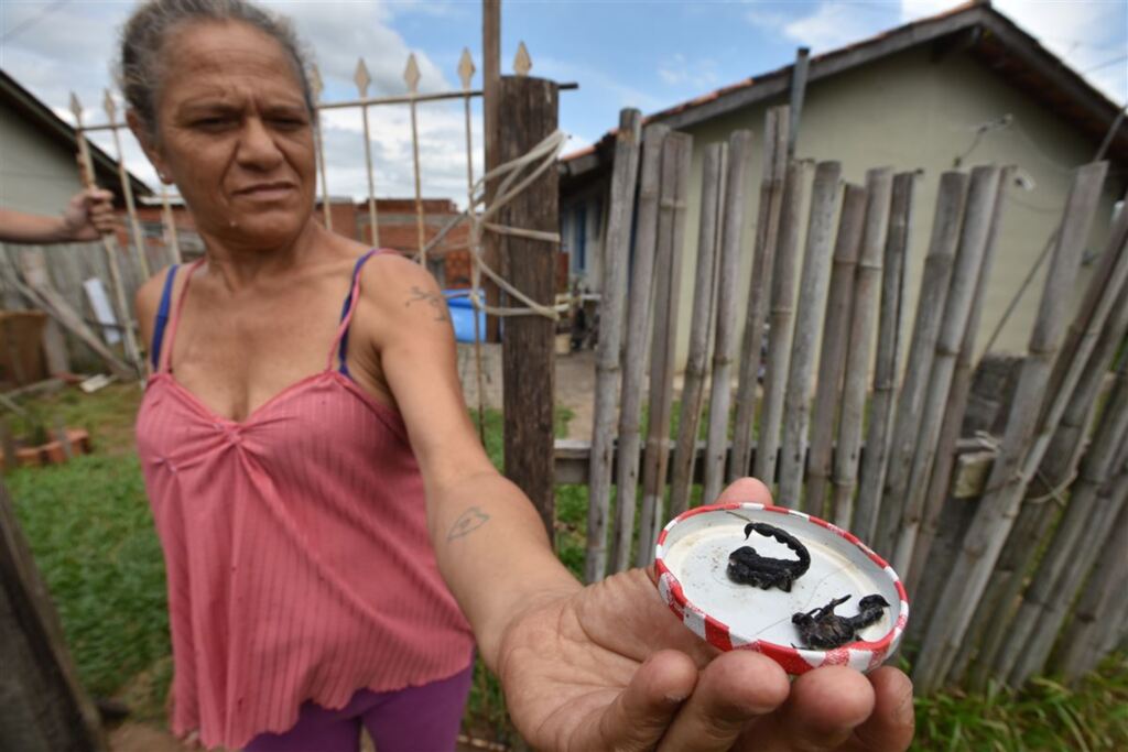 Foto: Gabriel Haesbaert (Diário) - 