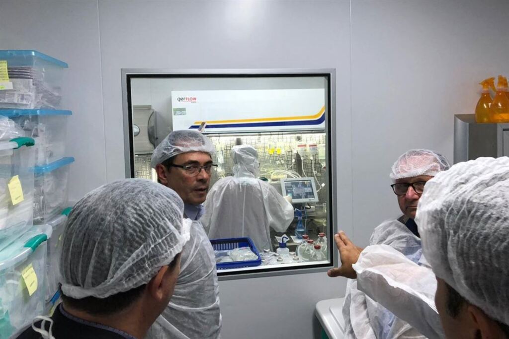 Foto: Divulgação - 