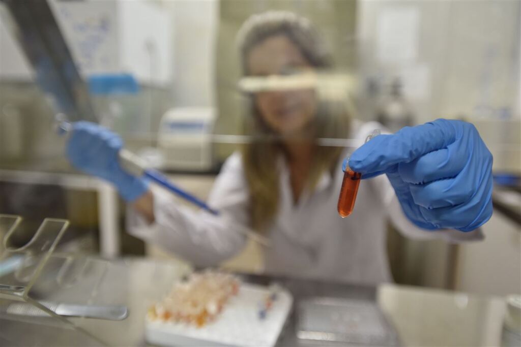 Estudo diz que água pode ser fonte de infecção por toxoplasmose