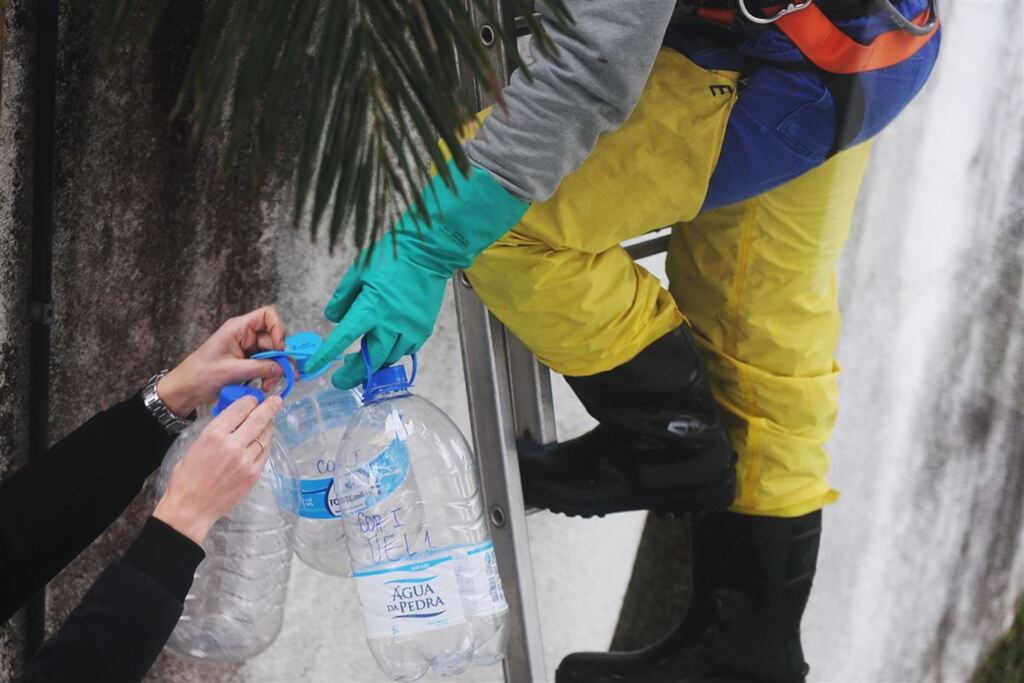 Quatro meses depois, como está a investigação do surto de toxoplasmose