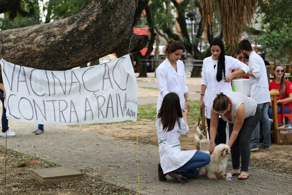 Campanha de vacinação contra raiva será em setembro em 34 locais de Santa Maria