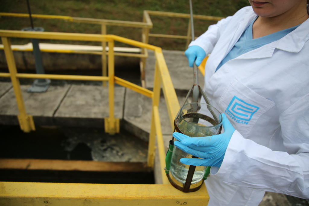 Origem do surto da toxoplasmose dificilmente será descoberta, dizem especialistas