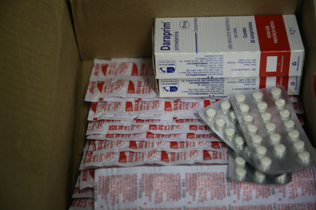 Remédios para tratar a toxoplasmose devem chegar em julho