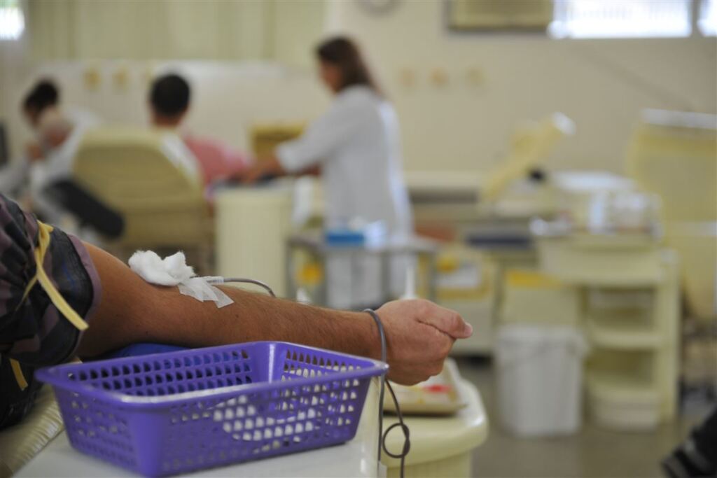 Diante do surto de toxoplasmose, Hemocentro adota novos critérios para doação de sangue