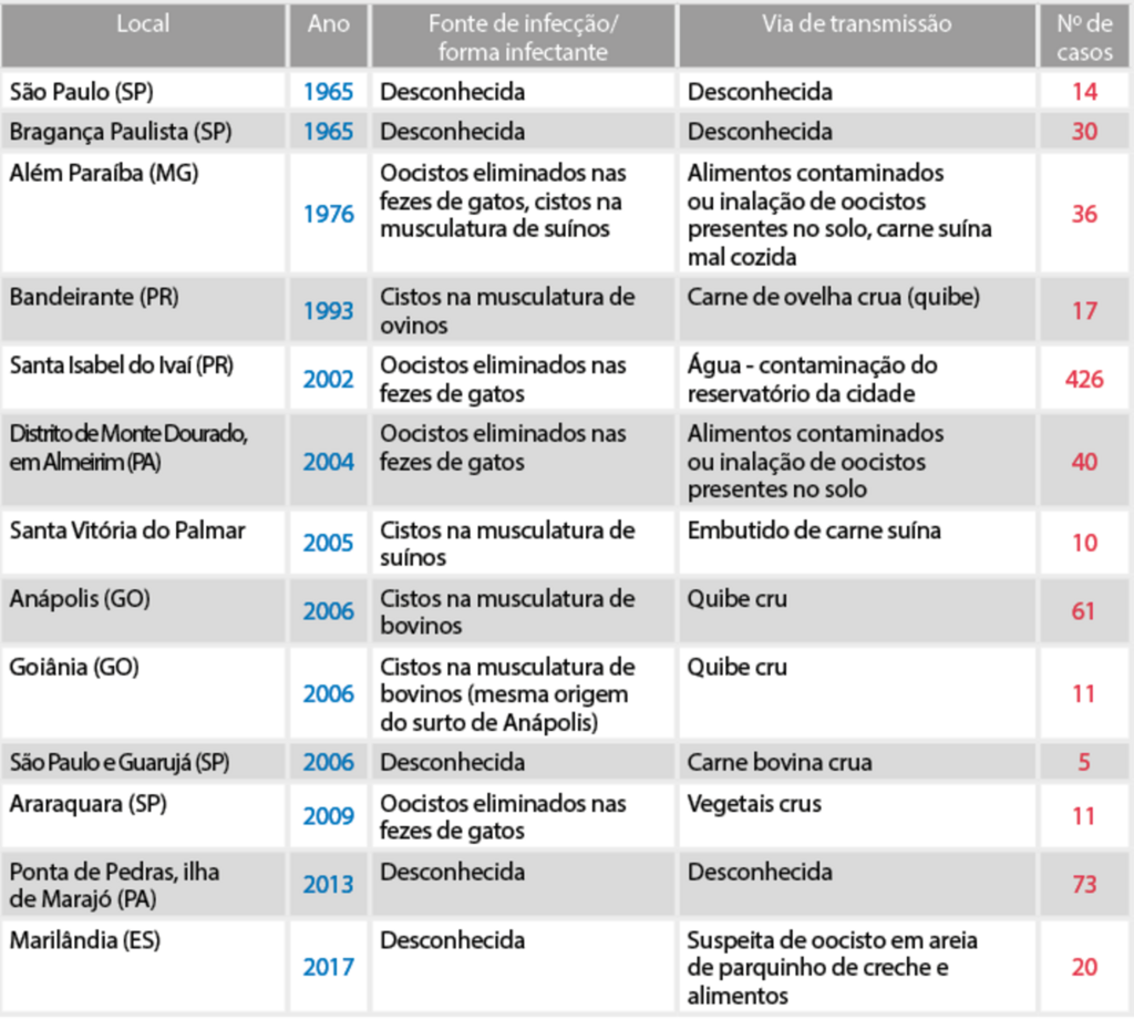 Saiba quais os maiores surtos de toxoplasmose já registrados no Brasil