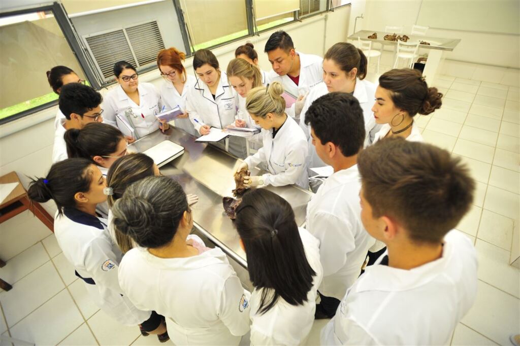 Foto: Gabriel Haesbaert (Diário) - Estudantes tem aulas práticas com corpos doados