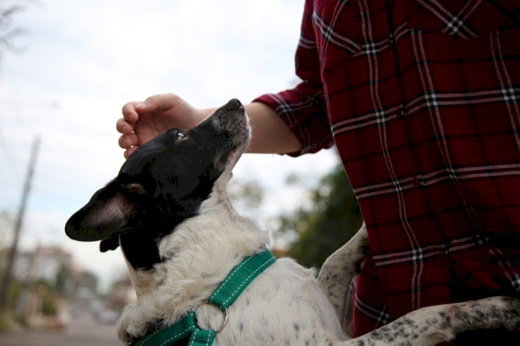 Foto: Renan Mattos (Diário) - 
