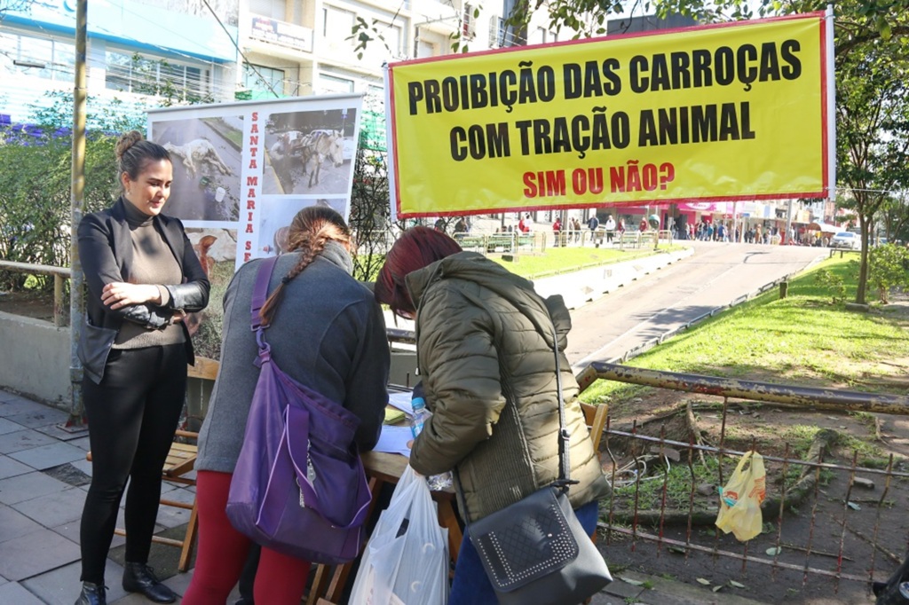 Grupo lança enquete popular sobre a circulação de carroças no Centro
