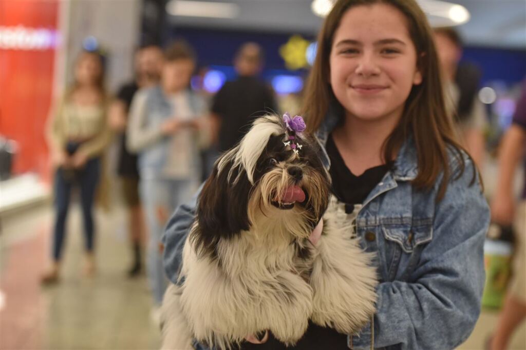 Um ano após virar lei, circulação de pets em shoppings de Santa Maria agrada lojistas e tutores