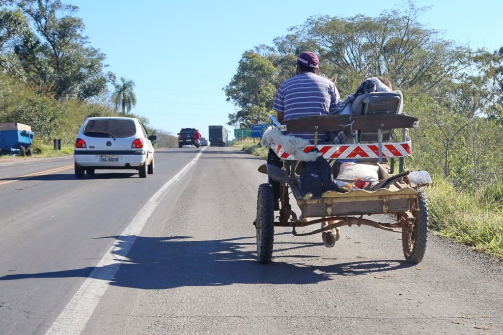 Após oito anos, lei da microchipagem de cavalos começa a sair do papel