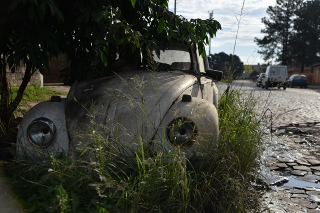 título imagem Leis devem ser mais rigorosas contra terrenos sujos e sucatas abandonadas