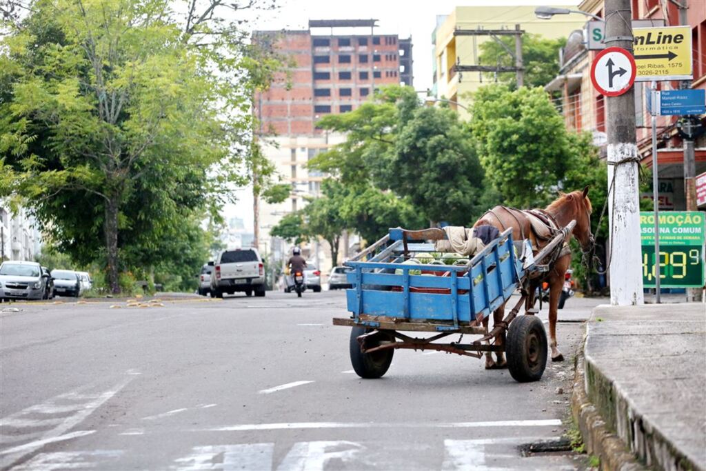 Projeto de lei que queria proibir tráfego de carroças no Centro é barrado