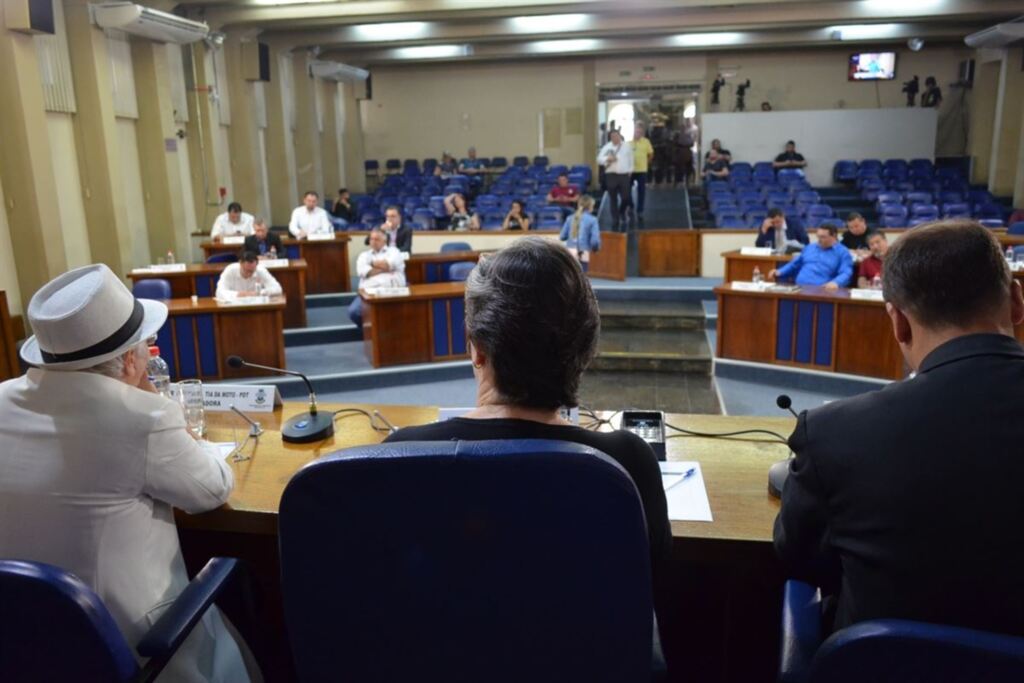 Foto: Taísa Medeiros (Divulgação) - Comissão Representativa da Câmara de Vereadores