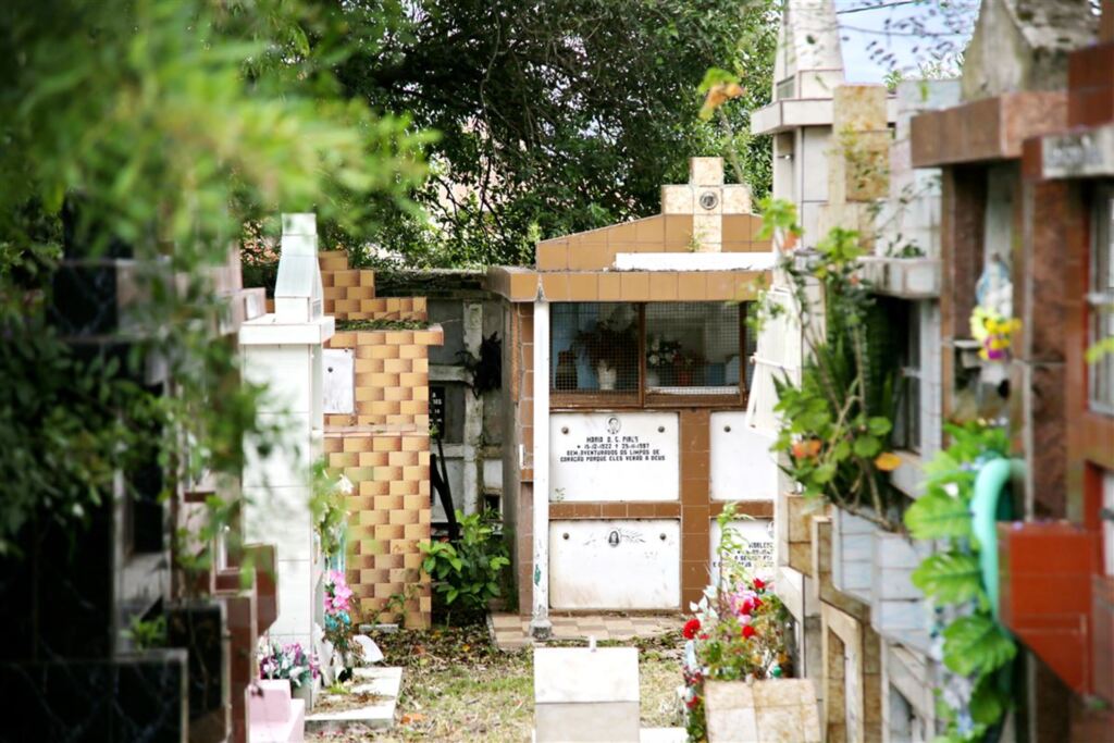 Foto: Renan Mattos (Diário) - 