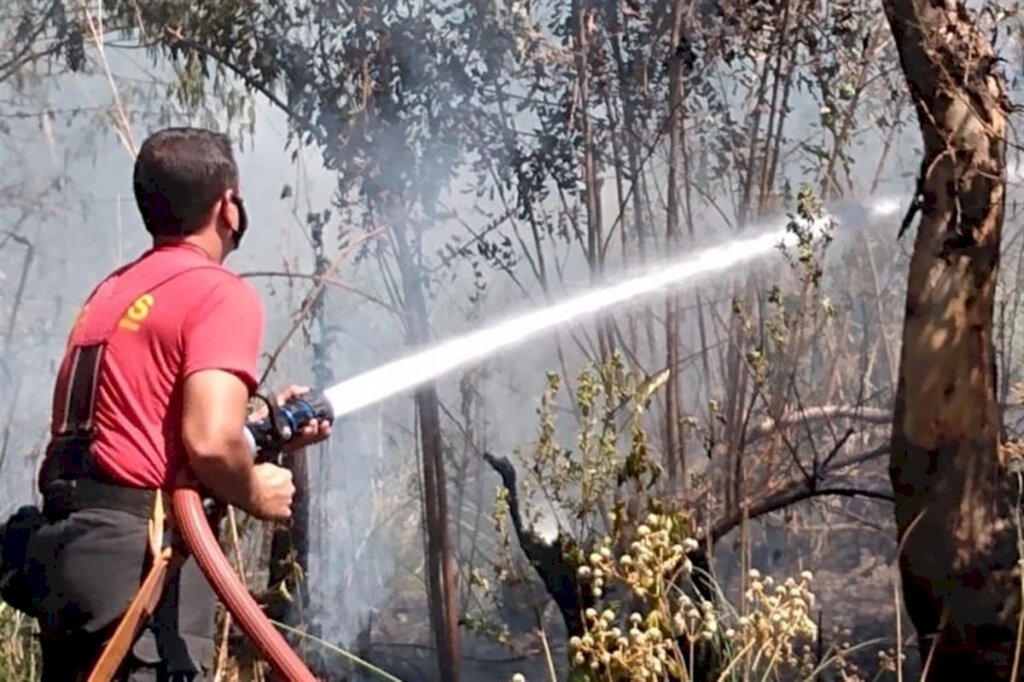 Incêndio atinge vegetação às margens da RSC-287 na Faixa Nova