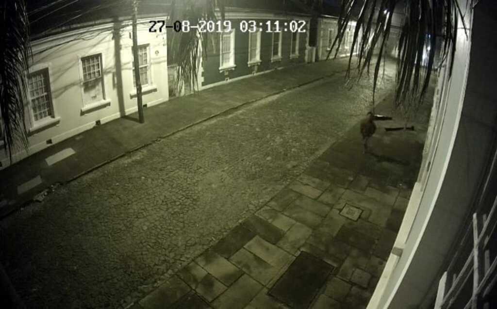 Foto: Reprodução - 