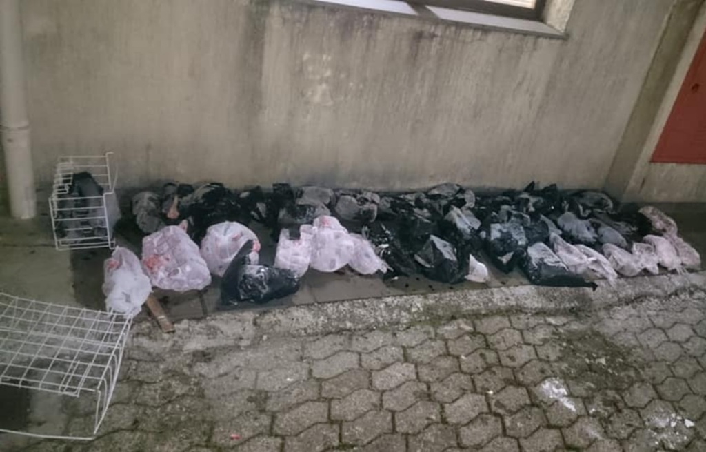 Dupla é presa com drogas e 100 quilos de carne em Santiago