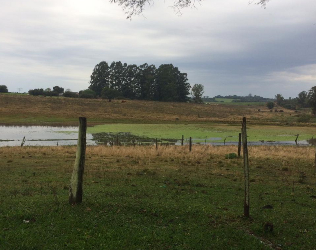 Adolescente confessa ter matado criança de 2 anos a facadas em São Gabriel