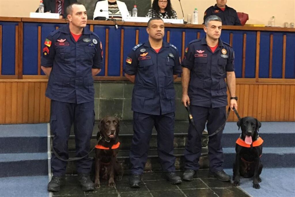 título imagem Bombeiros e seus parceiros recebem reconhecimento na Câmara de Santa Maria