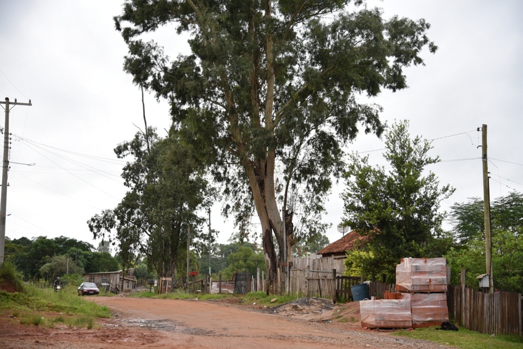 Foto: Gabriel Haesbaert (Diário) - 