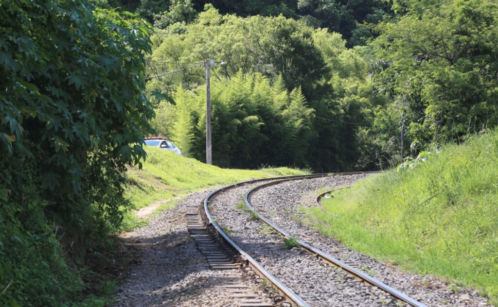 BM recupera 16 vigas de madeira furtadas de trilhos em Santa Maria