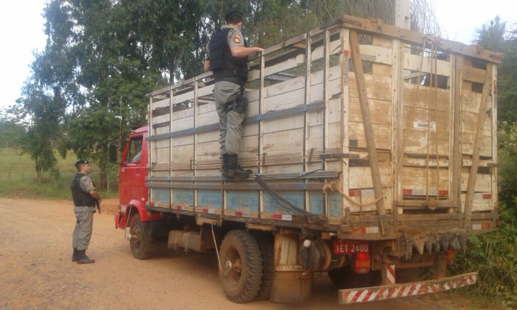 Polícia Civil registra mais de 21 mil casos de abigeato na região em dois anos