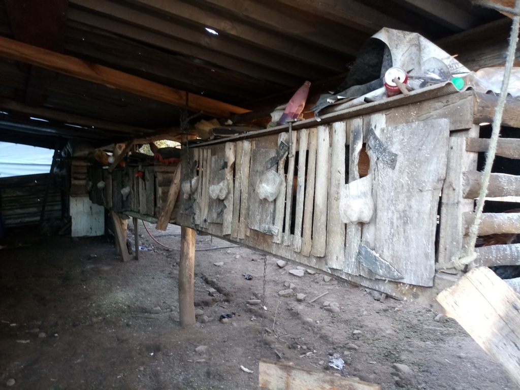 Batalhão Ambiental da BM apreende 126 galos que eram usados para rinha