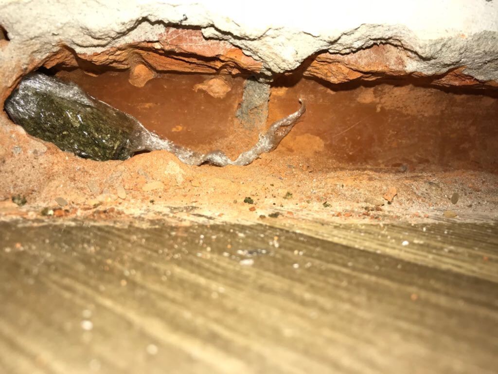 Quadrilha que atuava no tráfico de drogas é desarticulada em Santiago