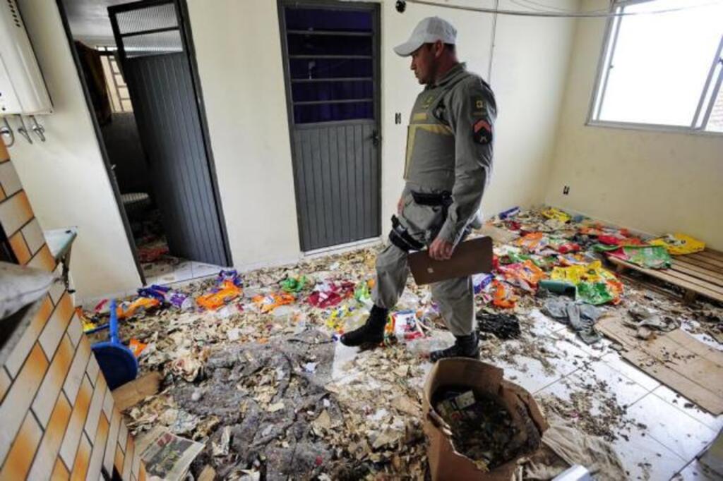 Presidente de ONG de proteção animal é responsabilizada por morte de 25 cães