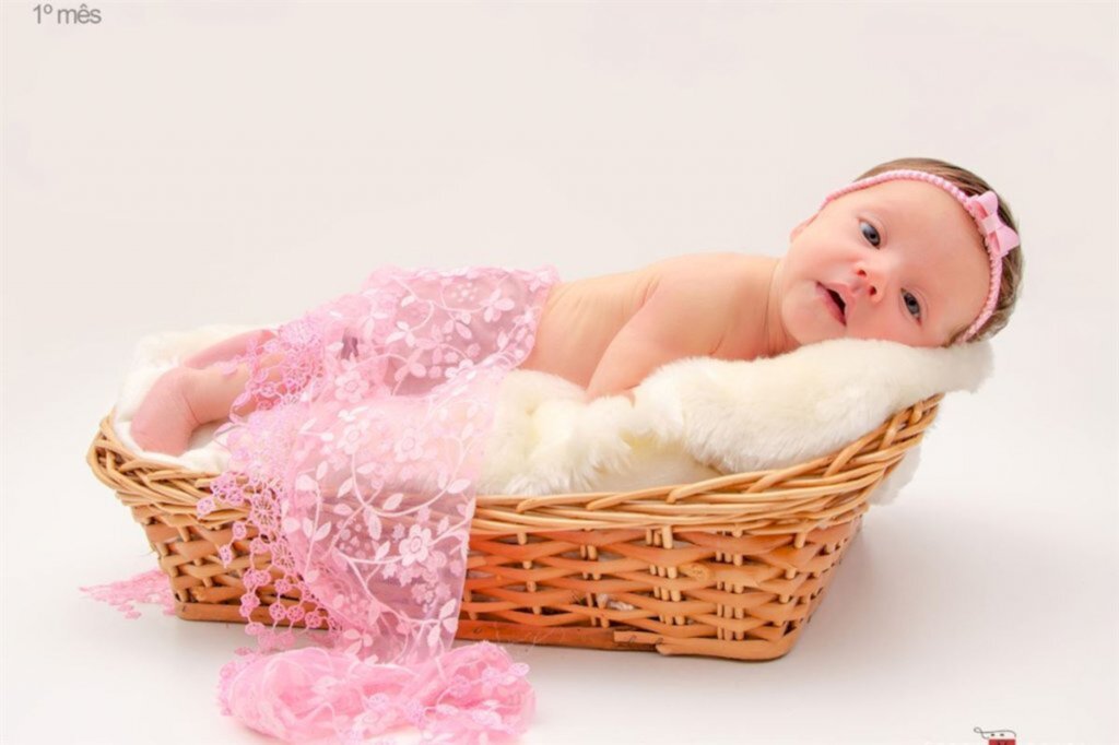 título imagem Nasceu Stela Alfama dos Santos