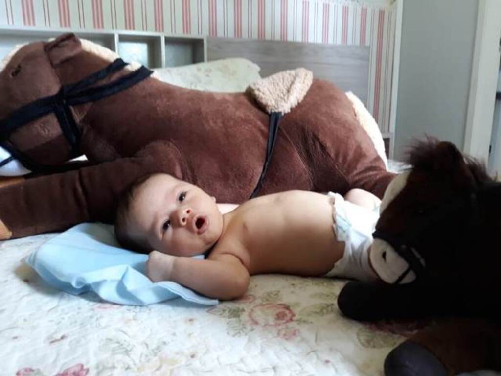 título imagem Nasceu Heitor Saldanha Vieira