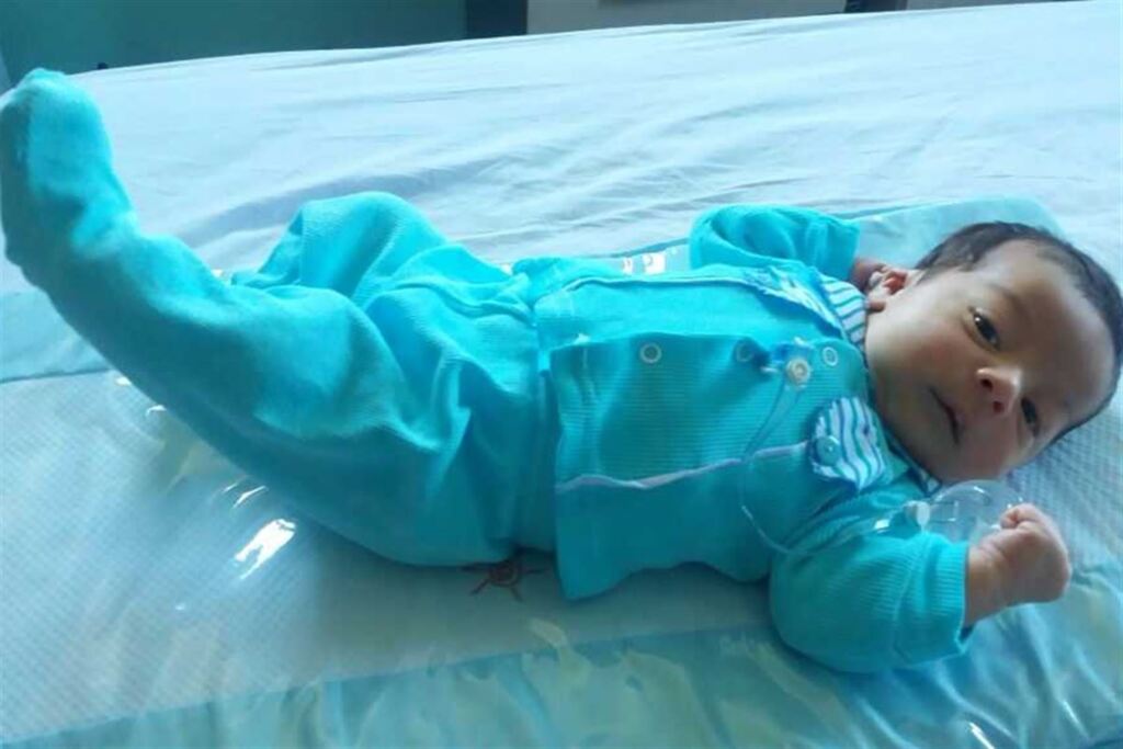 Nasceu Joaquim Cardoso de Freitas