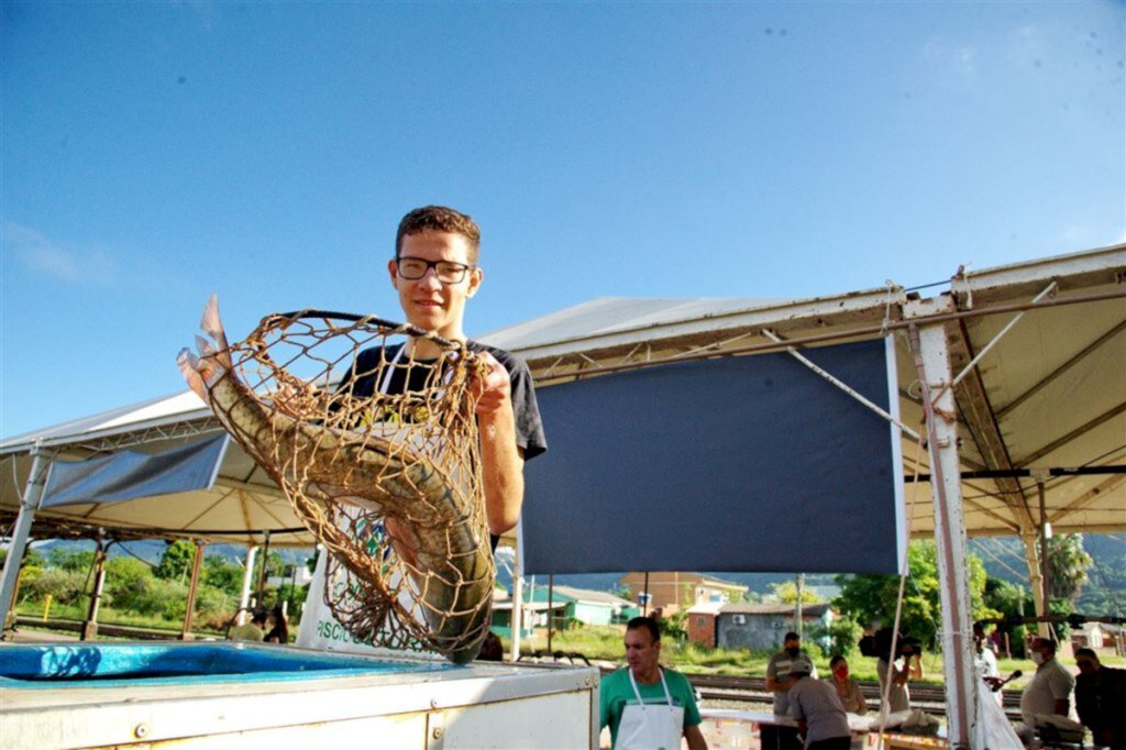 Feira do Peixe vivo tem início com diferentes pontos de venda em Santa Maria