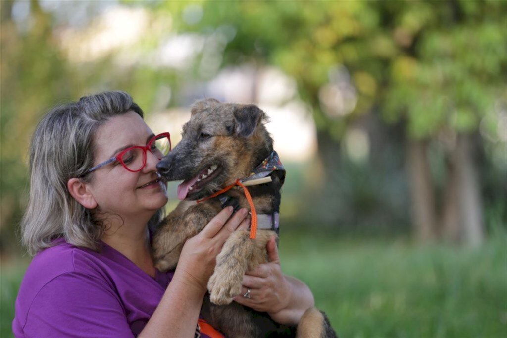 Assinatura solidária: projeto Pêlos Animais é um dos beneficiados