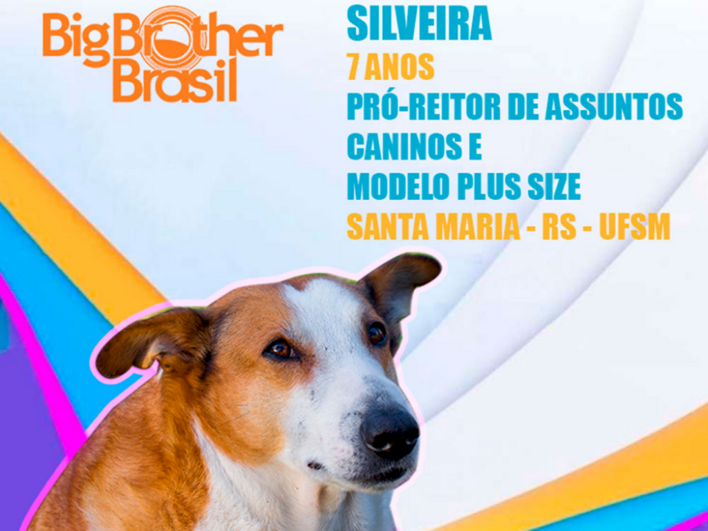 Projeto Zelo cria ação inspirada no Big Brother Brasil