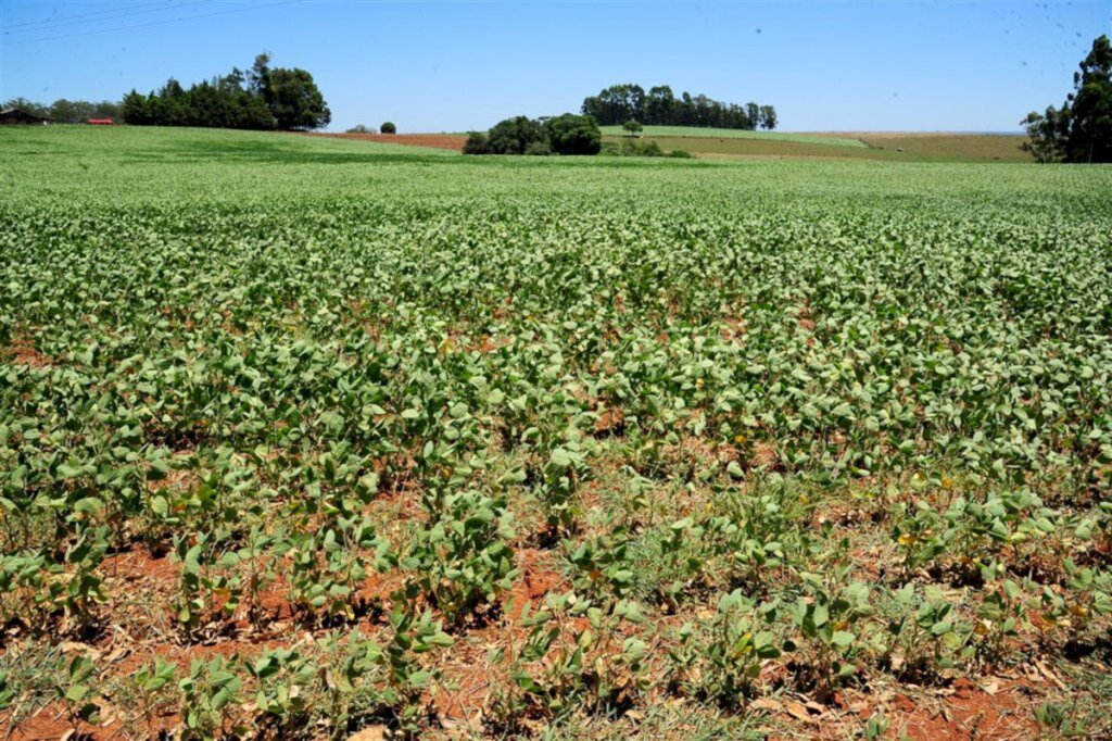 Santiago decreta situação de emergência por prejuízos com estiagem