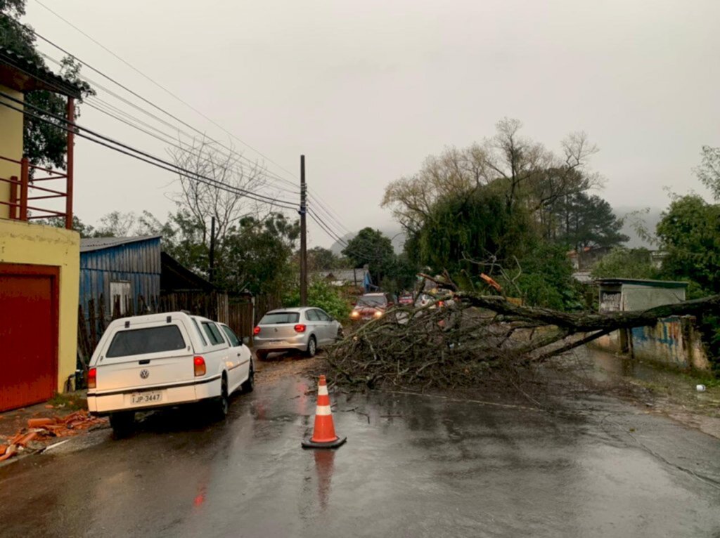 Foto: Renan Mattos (Diário) - 